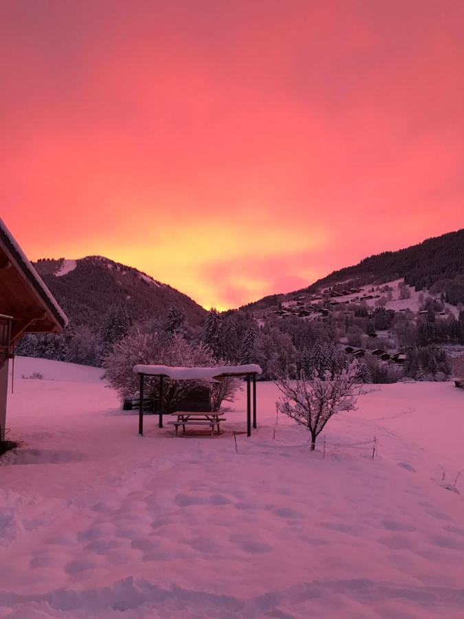Chalet La Merlerie مورزين المظهر الخارجي الصورة