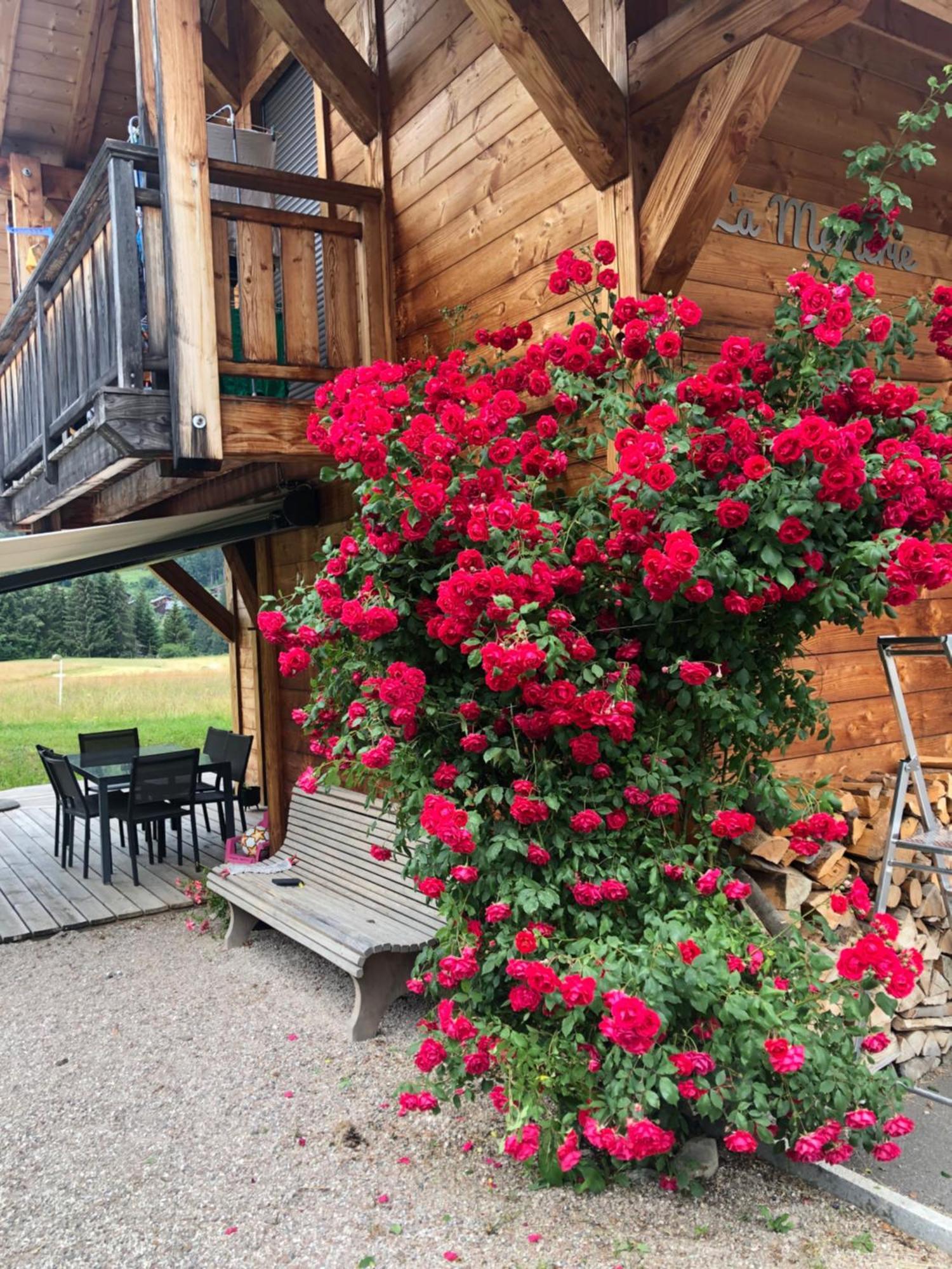 Chalet La Merlerie مورزين المظهر الخارجي الصورة
